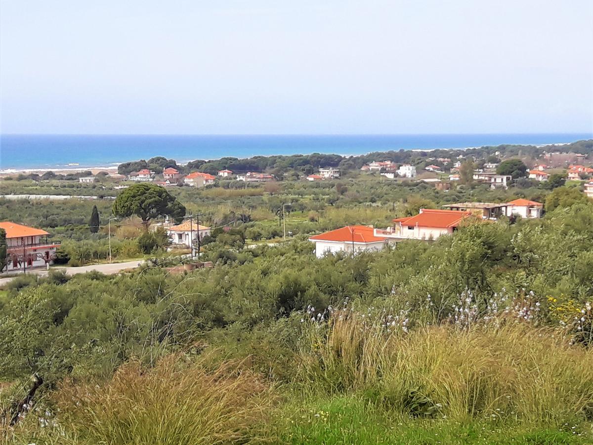 Panelma Villa Tranquil Coastal Retreat In Zacharo Tholon Eksteriør billede